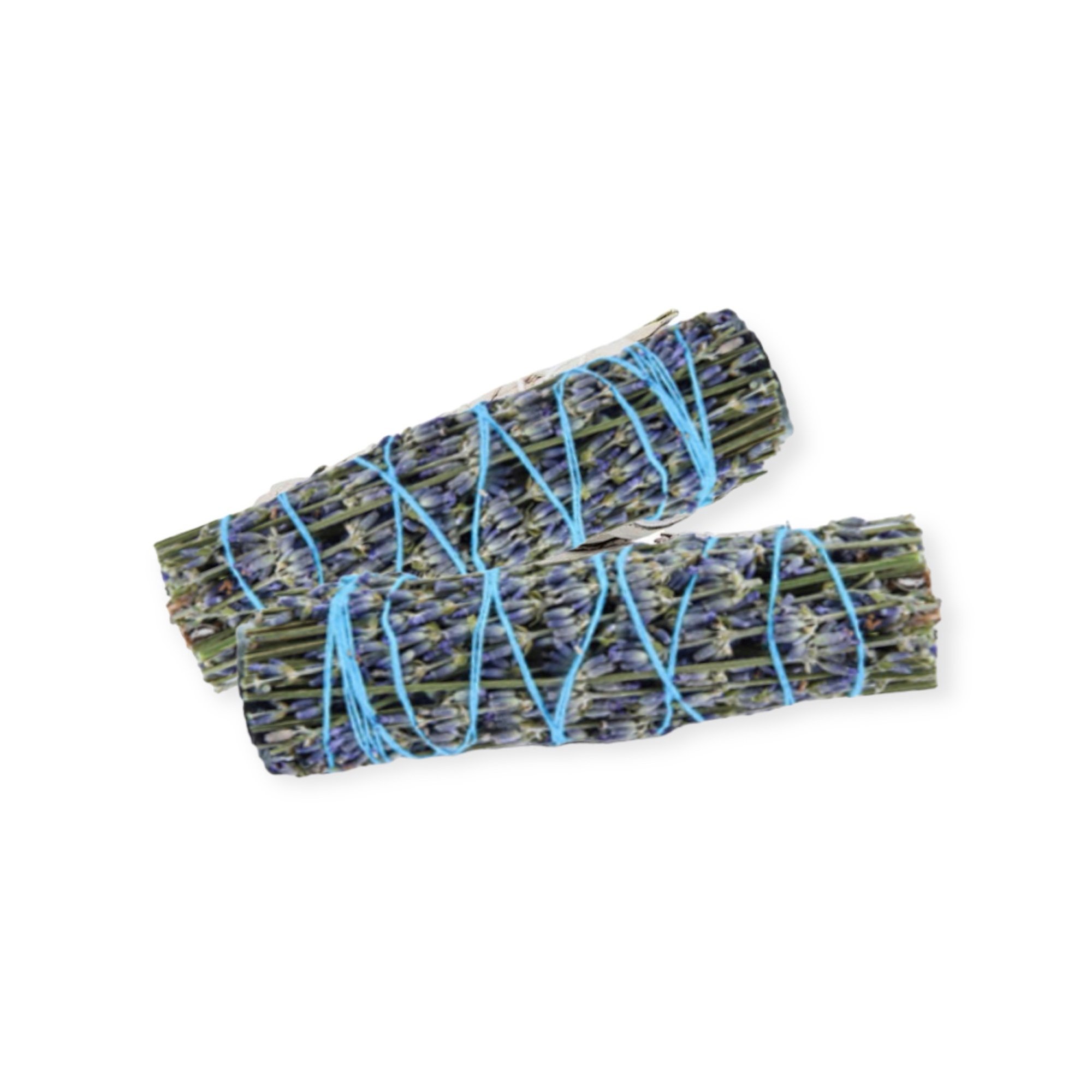 photoroom_20240222_112316