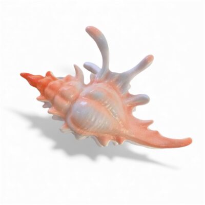 Hair Claw - Big Seashell in Salmon
