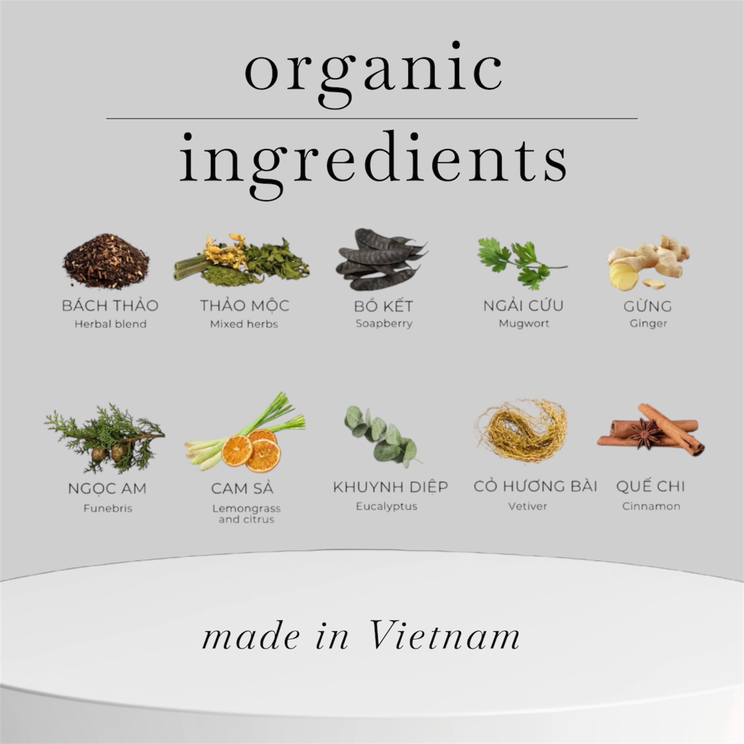 photoroom_20251229_123012